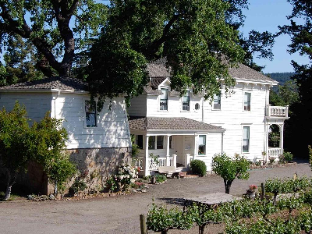 Inn At Salvestrin セントヘレナ エクステリア 写真